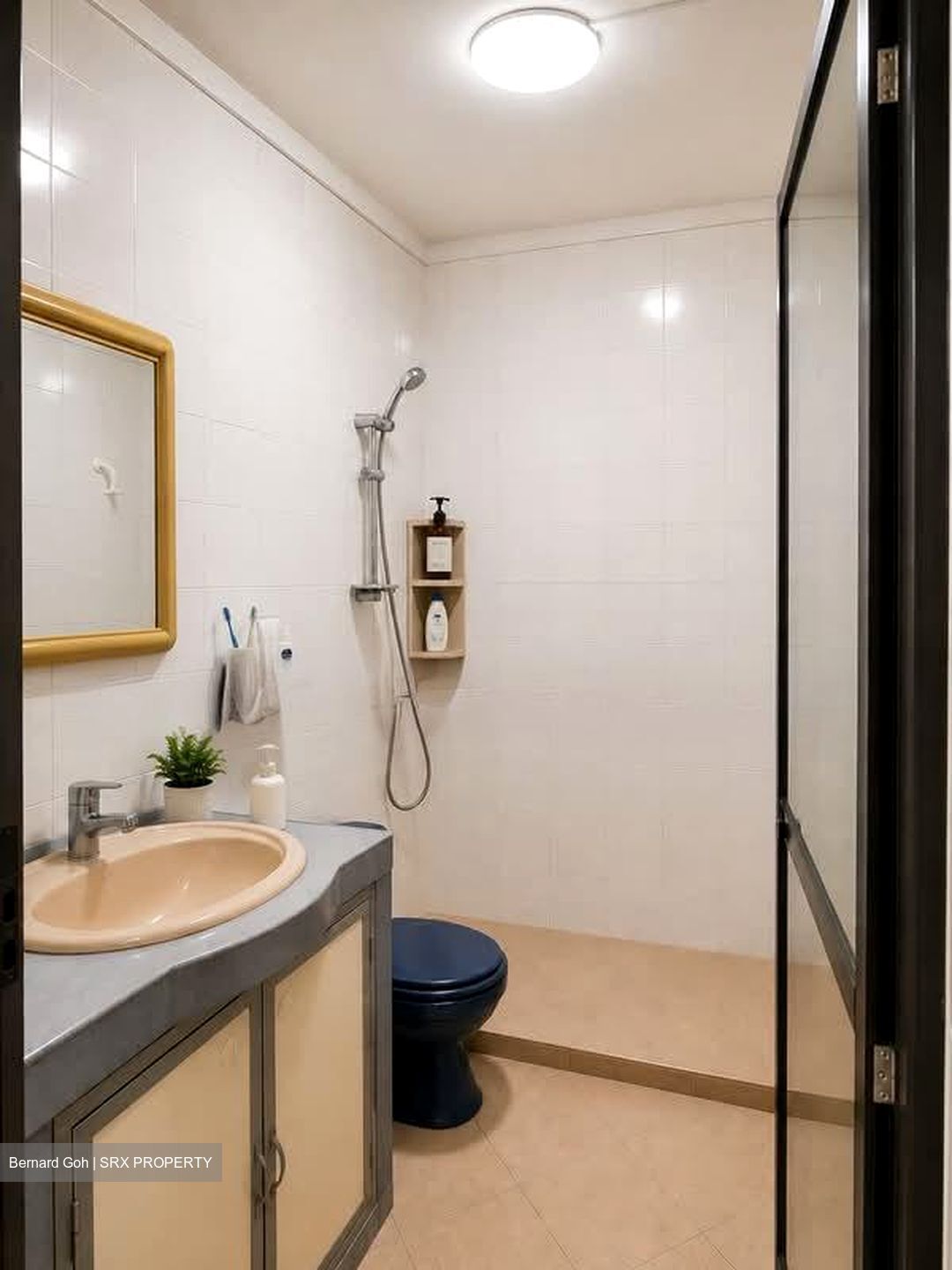 Blk 290F Spring View (Bukit Batok), HDB 5 Rooms #574081941